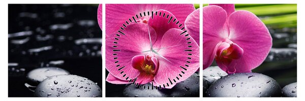 Obraz - Růžové orchideje s palmovým listem (s hodinami) (90x30 cm)