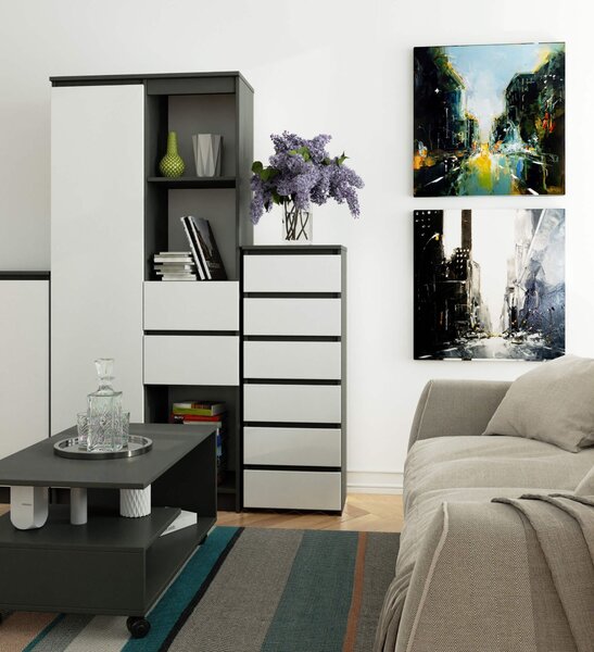 Komoda 3xEliving, příborník se 6 zásuvkami (š:40 cm x v:109 cm x h:35 cm) v grafitově šedé a bílé barvě