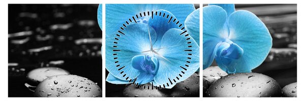 Obraz - Modrá orchidej (s hodinami) (90x30 cm)