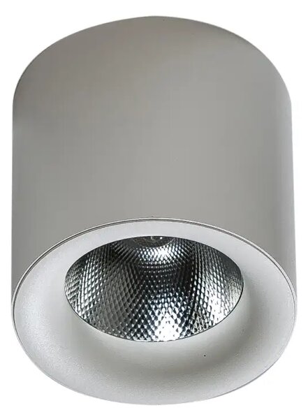 LED bodové světlo Mane 20W Dimm bílé
