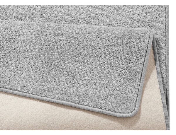 Světle šedý koberec 80x150 cm Fancy – Hanse Home