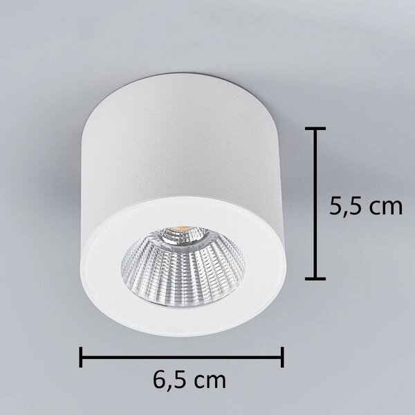 Helestra Oso stropní LED světlo, kruh, bílý mat, stmívatelný, Bílá / opál, Koupelna, Hliník, Moderní