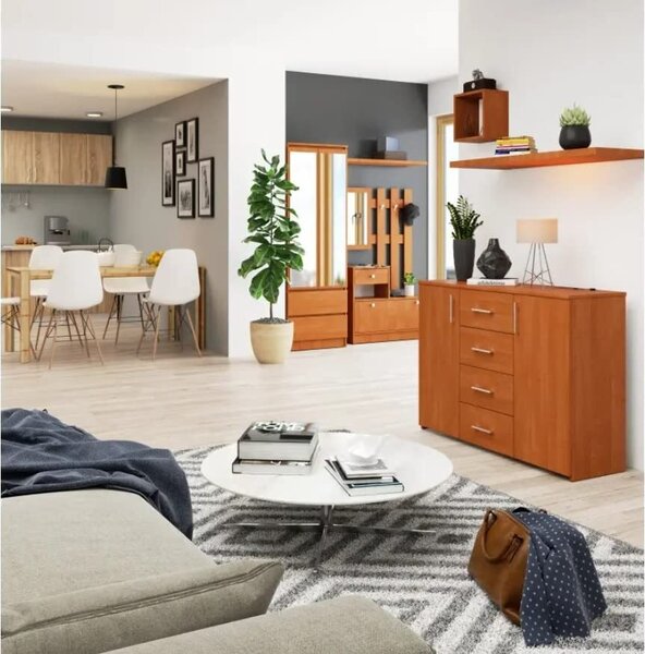 Komoda se 4 zásuvkami a 2 dvířky, 110x80x35, obývací pokoj, olše
