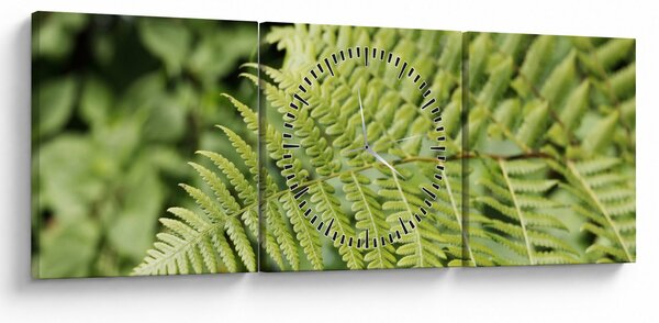 Obraz - Kapradinový list (s hodinami) (90x30 cm)