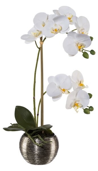 Umělá Orchidej bílá v květináči, 42cm