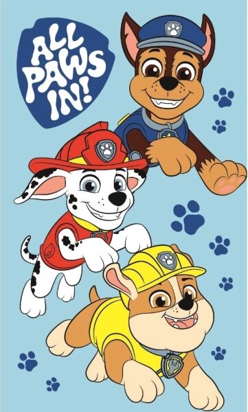 Jerry Fabrics Dětský ručník Paw Patrol Boys 30x50 cm