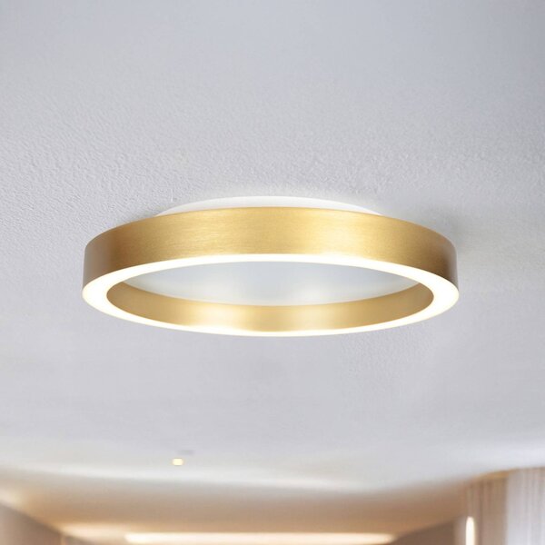 Steinhauer LED stropní svítidlo Ringlux zlaté, Ø 40 cm, kov, 2 700 K, stmívatelný, Mosaz / zlato, Obývací pokoj / jídelna, kov, Moderní