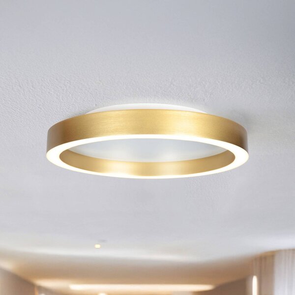 Steinhauer LED stropní svítidlo Ringlux zlaté, Ø 30 cm, kov, 2 700 K, stmívatelný, Mosaz / zlato, Obývací pokoj / jídelna, kov, Moderní