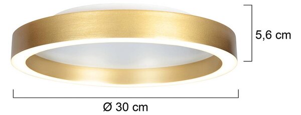 Steinhauer LED stropní svítidlo Ringlux zlaté, Ø 30 cm, kov, 2 700 K, stmívatelný, Mosaz / zlato, Obývací pokoj / jídelna, kov, Moderní