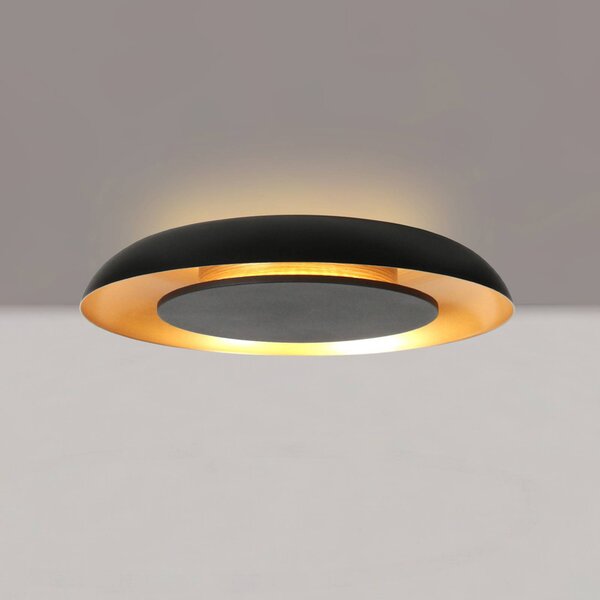 Steinhauer LED stropní svítidlo Golden Veil, černé/zlaté, stmívatelné, kovové, stmívatelný, Černá, Obývací pokoj / jídelna, kov, Moderní
