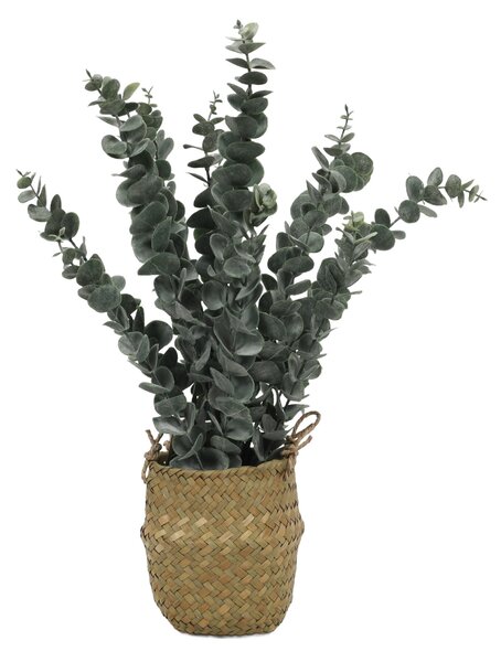 Umělá rostlina eukalyptu v košíku, 50 cm