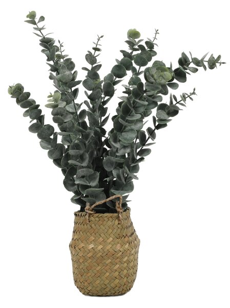 Umělá rostlina eukalyptu v košíku, 50 cm