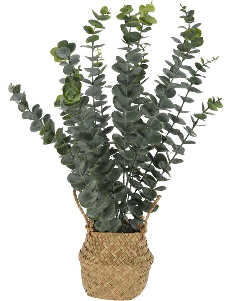 Umělá rostlina eukalyptu v košíku, 50 cm