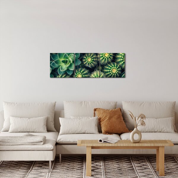 Obraz - Kaktusy (s hodinami) (90x30 cm)