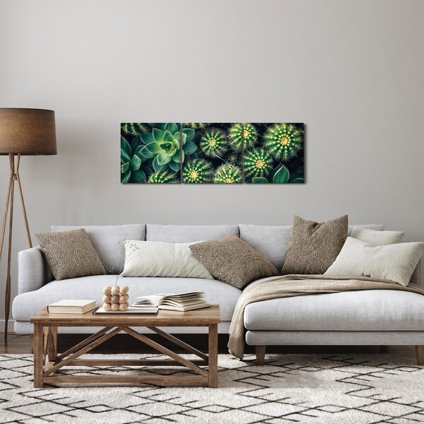 Obraz - Kaktusy (s hodinami) (90x30 cm)