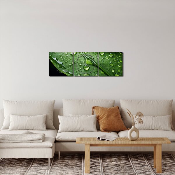 Obraz - List po dešti (s hodinami) (90x30 cm)