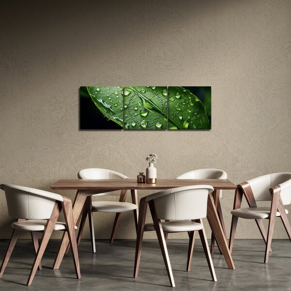 Obraz - List po dešti (s hodinami) (90x30 cm)