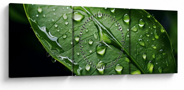 Obraz - List po dešti (s hodinami) (90x30 cm)
