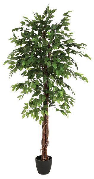 Vysoký umělý fíkus s květináčem, výška 180 cm