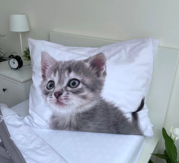Jerry Fabrics Povlečení fototisk Kitten grey 140x200, 70x90 cm