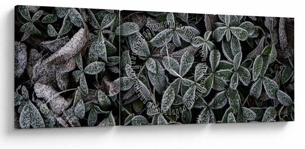 Obraz - Zmrzlé rostliny (s hodinami) (90x30 cm)