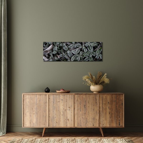 Obraz - Zmrzlé rostliny (s hodinami) (90x30 cm)