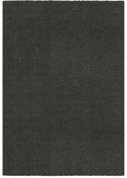 Breno Kusový koberec DOLCE VITA 01/GGG, 67x110 cm, Černá