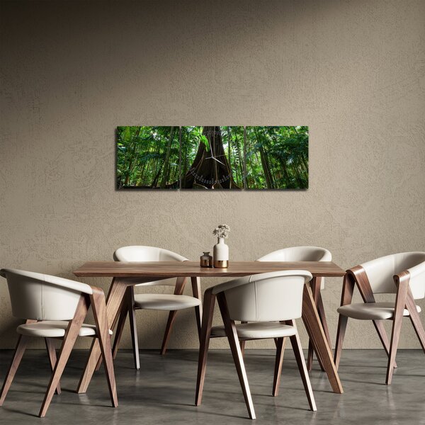 Obraz - Kořeny stromu (s hodinami) (90x30 cm)