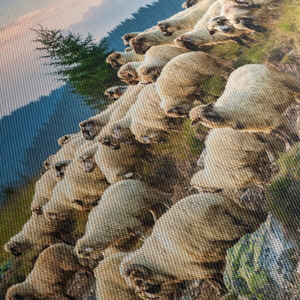 Obraz - Stádo ovcí (125x70 cm)