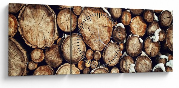 Obraz - Dřevo ve sněhu (s hodinami) (90x30 cm)