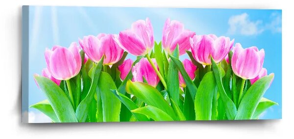 Sablio Obraz Růžové tulipány - 110x50 cm