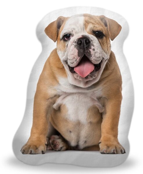 Sablio 3D polštář ve tvaru Anglický bulldog
