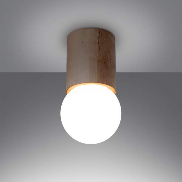 Sollux Lighting Stropní svítidlo BOOMO 12