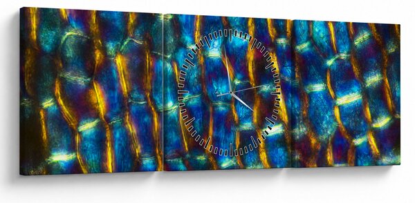 Obraz - Buněčná stěna (s hodinami) (90x30 cm)