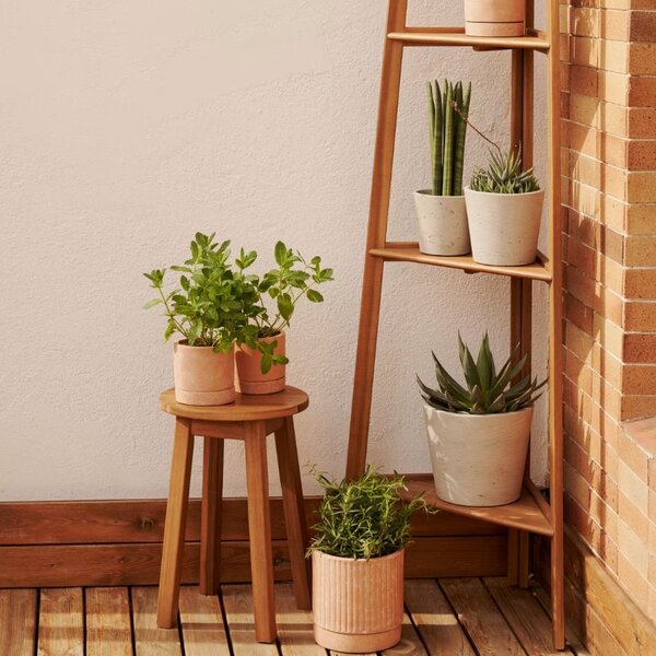 Akáciová zahradní stolička Kave Home Amel 46 cm
