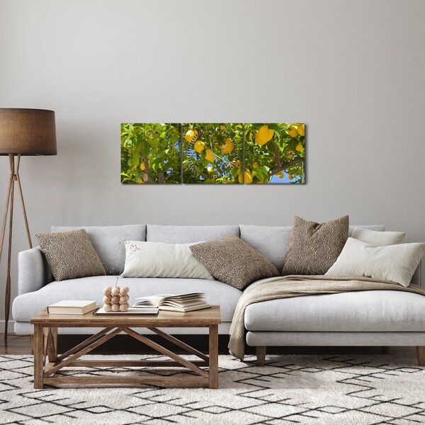 Obraz - Citrónovník (s hodinami) (90x30 cm)