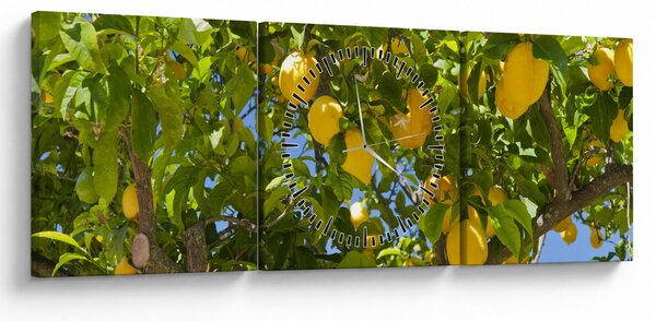 Obraz - Citrónovník (s hodinami) (90x30 cm)