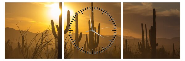 Obraz - Kaktusy Saguaro (s hodinami) (90x30 cm)