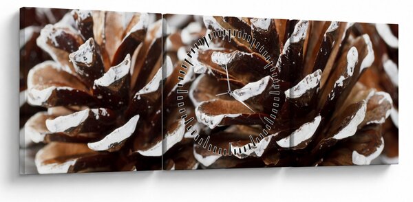 Obraz - Šišky (s hodinami) (90x30 cm)