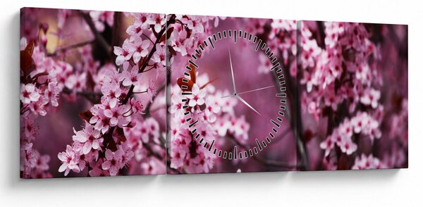 Obraz - Růžová sakura (s hodinami) (90x30 cm)