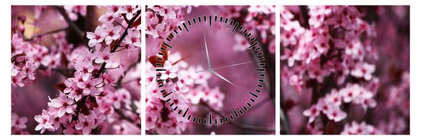 Obraz - Růžová sakura (s hodinami) (90x30 cm)