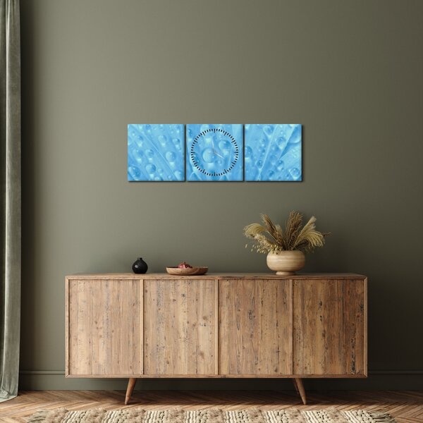 Obraz - Makro záběr květu (s hodinami) (90x30 cm)