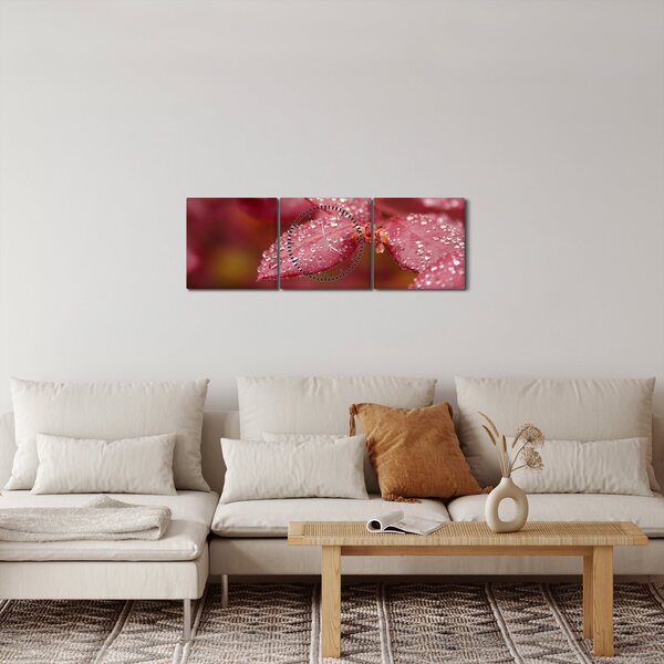 Obraz - Makro snímek lístku (s hodinami) (90x30 cm)