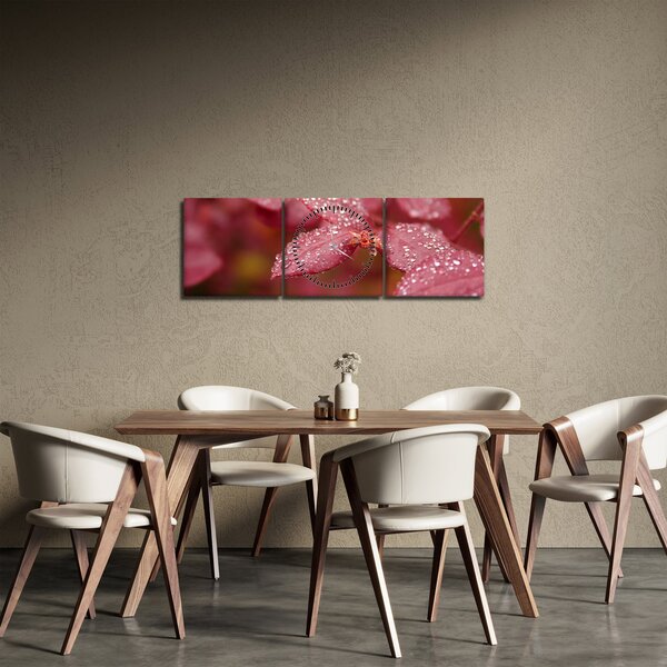 Obraz - Makro snímek lístku (s hodinami) (90x30 cm)