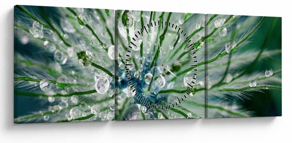 Obraz - Makro snímek květu (s hodinami) (90x30 cm)