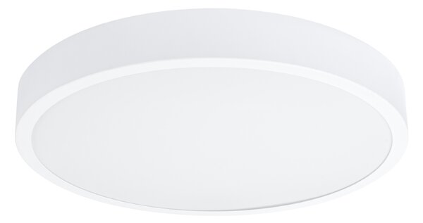 Sollux Lighting Stropní svítidlo ONYX 50 white LED 3000K