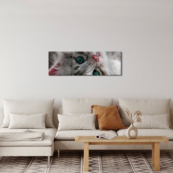Obraz - Kočka se zelenýma očima (s hodinami) (90x30 cm)