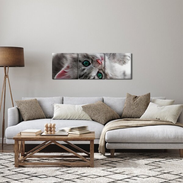 Obraz - Kočka se zelenýma očima (s hodinami) (90x30 cm)