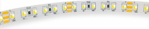 KOHL LIGHTING FLEX TUNABLE 19,2 W/M TCC K55004.CC.TW.20