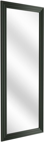 Styler Wave zrcadlo 50x142 cm obdélníkový LU-12431